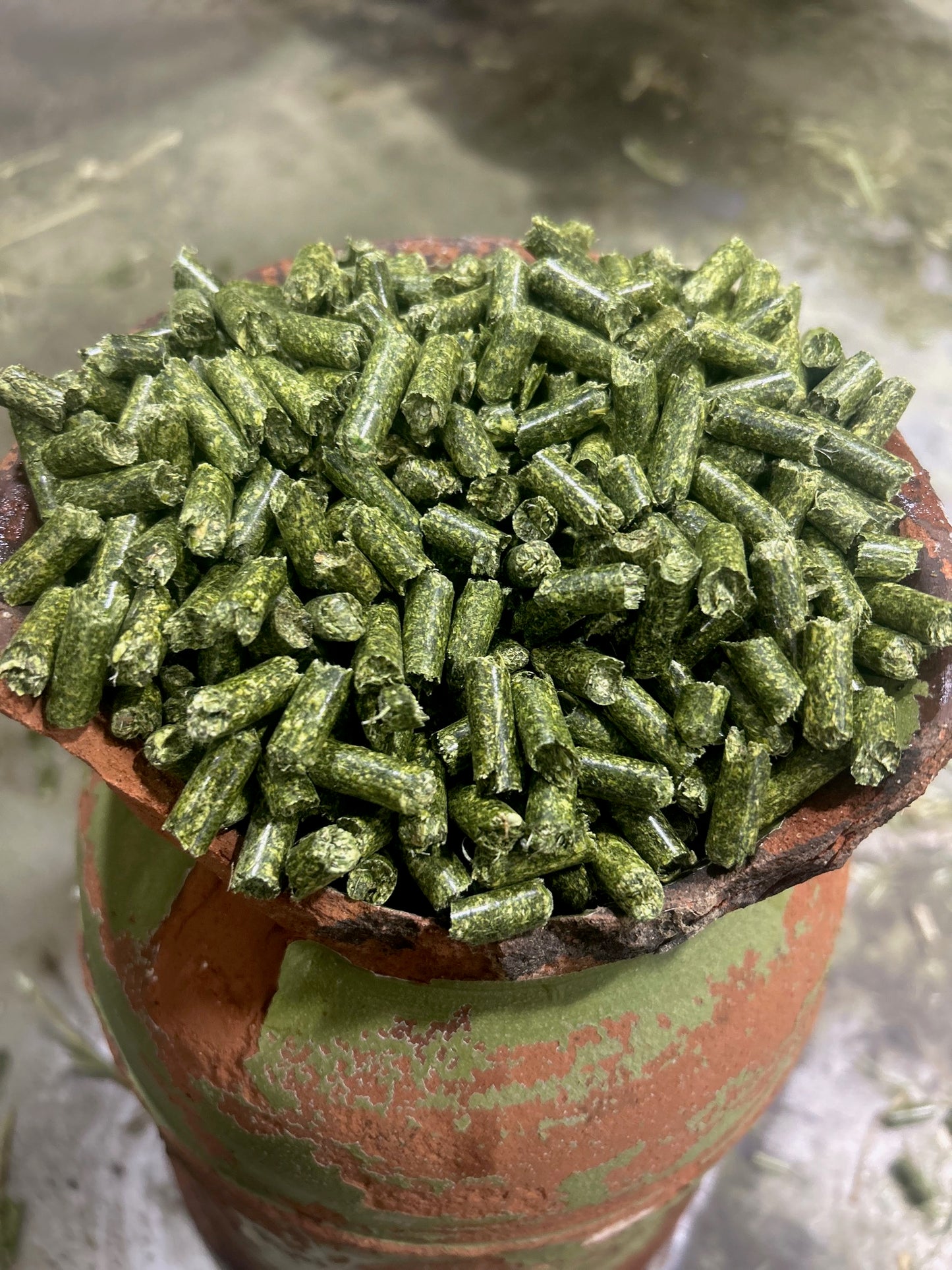 Flower & Garden Fertilizer