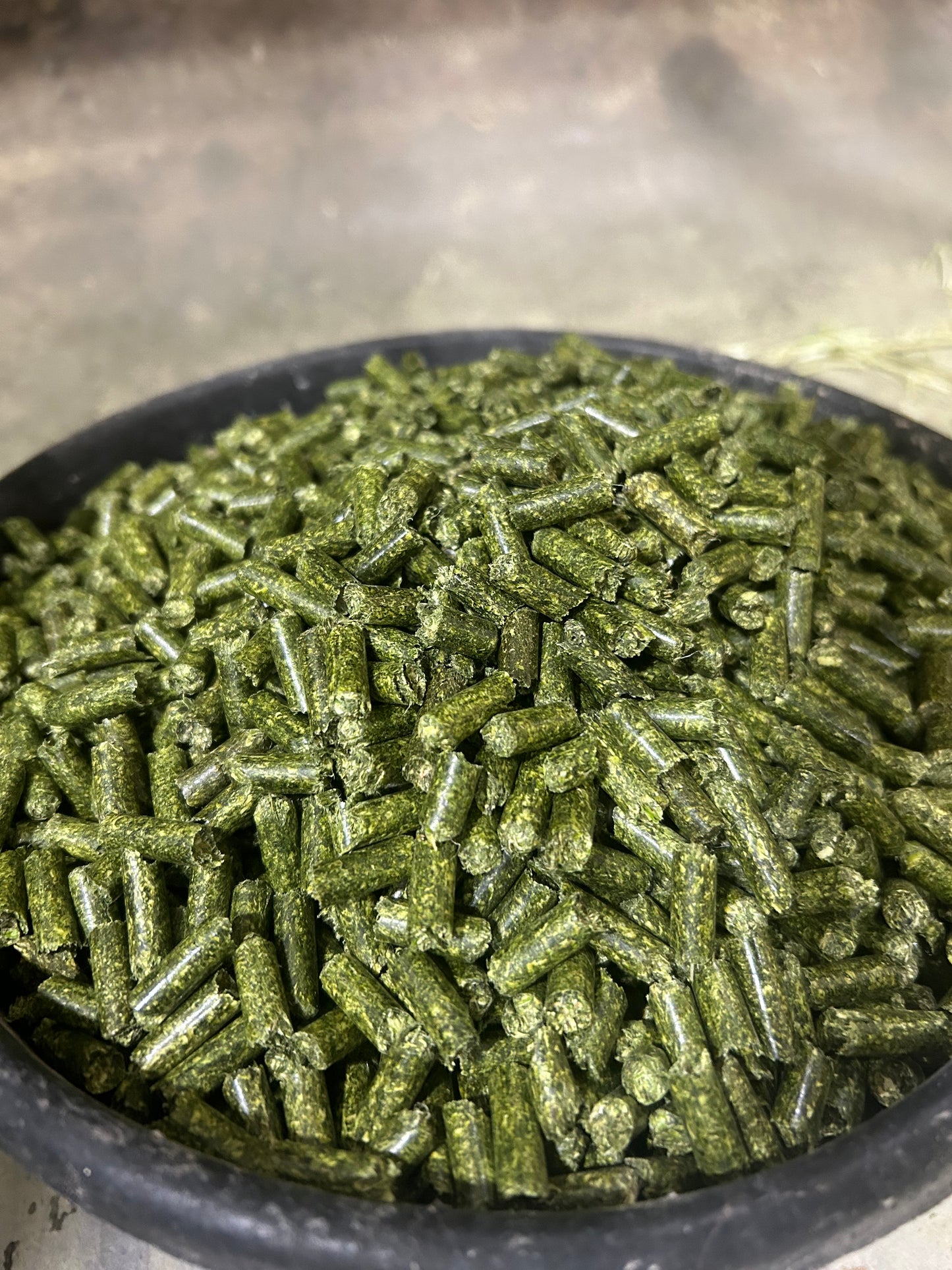 Certified Alfalfa Pellets 40lb