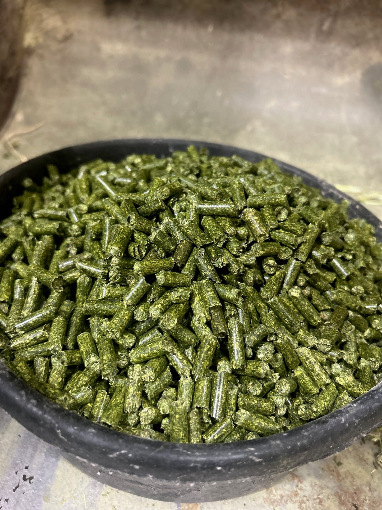 Alfalfa Pellets - for all you pets