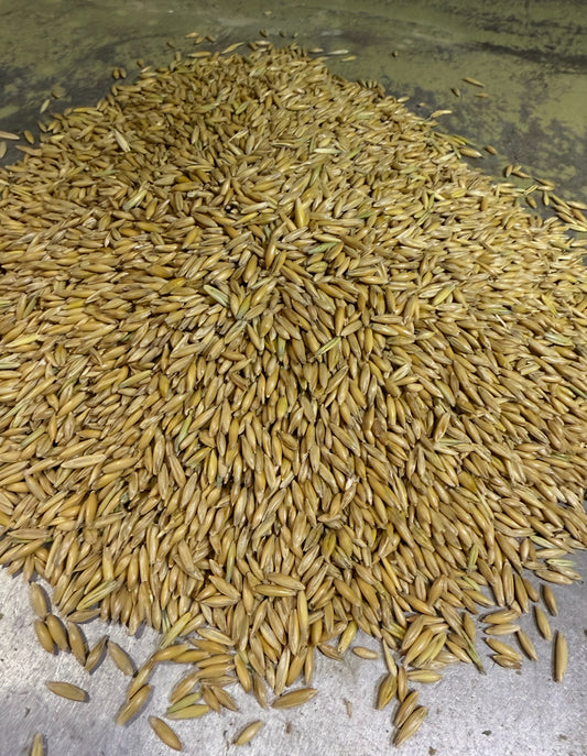 5L Premier Whole Oats